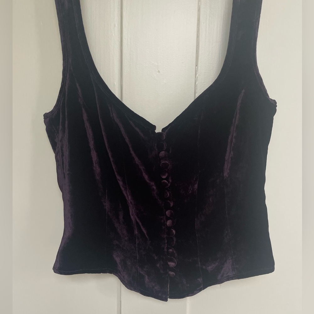 Corrine Sarrut Cropped Velvet Bustier - Picture 8 of 16